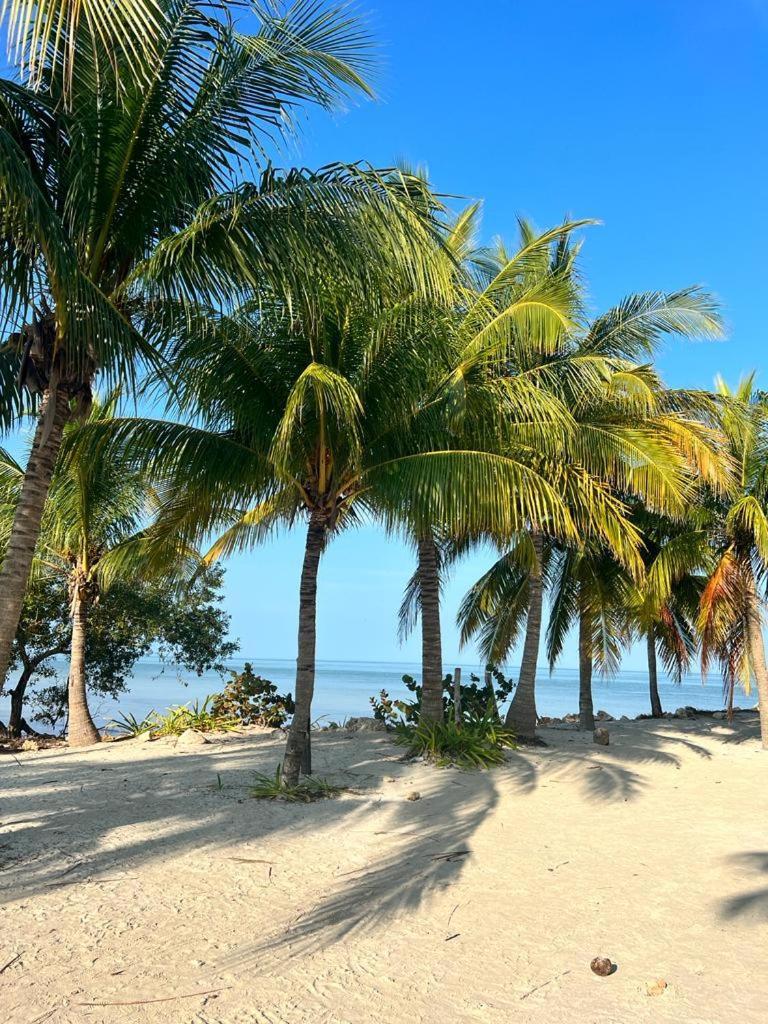Casa Calamar Isla Holbox Exteriör bild